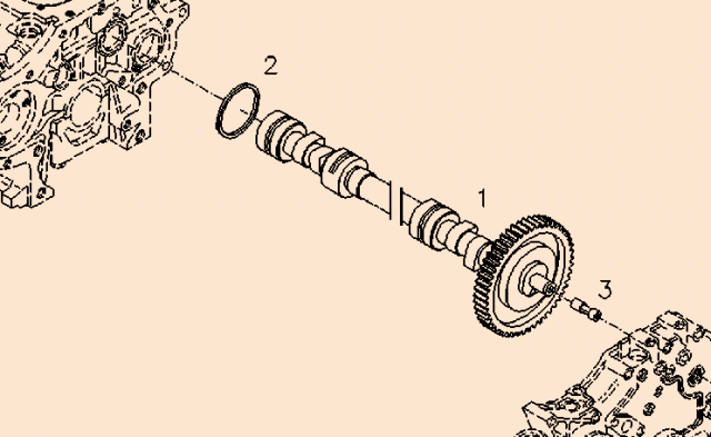 0423 1450 Camshaft
