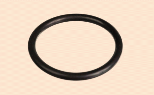 20412325 SEALING RING