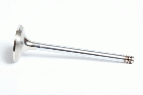 0428 5986 Exhaust valve